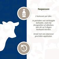 Direct Zwarte Knoflook Bolus - thumbnail