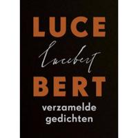 Lucebert (Paperback) - thumbnail