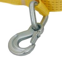 Petex 43193119 Spanband (tweedelig) Trekkracht (lc) vastbinden (enkel/direct): 2500 daN (l x b) 10 m x 50 mm Spanband EN 12195 - thumbnail