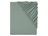 LIVARNO home Jersey hoeslaken 140-160 x 200 cm (Groen) - thumbnail