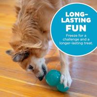 Outward Hound Double-Tuff M Blauw - thumbnail