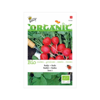 Biologische Radijs Saxa 2 - thumbnail