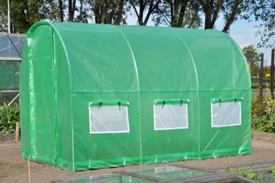 Royal Well foliekas Silver Rocket D6