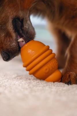 Beeztees Sumo Play S Oranje