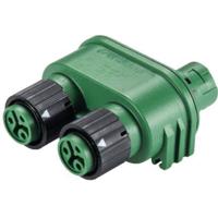 Wieland Electric 46.030.1255.7 Ronde connector verdeler Totaal aantal polen: 2 + PE Serie (ronde connectoren): RST® MINI 1 stuk(s) - thumbnail