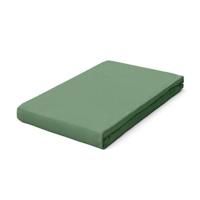 Schlafgut Schlafgut Pure Jersey Hoeslaken M - 120x200 - 130x220 665 Green Mid - thumbnail