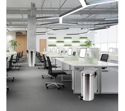 Pedaalemmer brasq 30 liter rvs