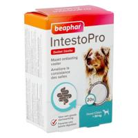 BEAPHAR INTESTOPRO HOND >20 KG 20 TBL - thumbnail