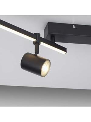 Paul Neuhaus 6525-18 LED-plafondlamp LED GU10 28 W Zwart