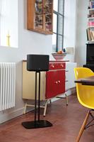 SoundXtra SDXDH250FS1021 DENON HOME 250 STANDAARD Audio vloerstandaard Zwart - thumbnail