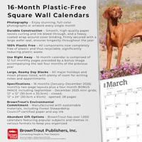 Vizsla Kalender 2026 - thumbnail