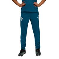 PUMA Portugal Trainingsbroek 2026-2028 Kids Blauwgroen Wit - thumbnail