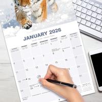 Tijger Kalender 2026 - thumbnail