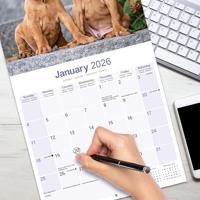 Vizsla Kalender 2026 - thumbnail