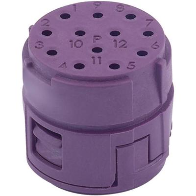 EPIC CIRCON M23 businzet 73002716 EPIC® M23 12P LAPP Inhoud: 1 stuk(s) EPIC CIRCON M23 businzet 73002716 EPIC® M23 12P LAPP Inhoud: 1 stuk(s)