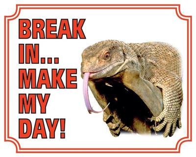 Hagedis Waakbord - Break in make my day Hagedis Waakbord - Break in make my day