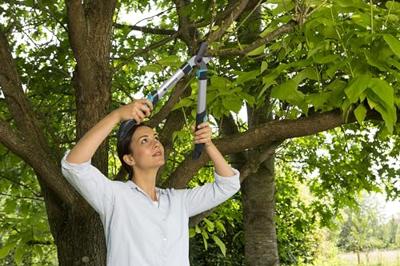 Takkenschaar EasyCut 500 B - Gardena - thumbnail