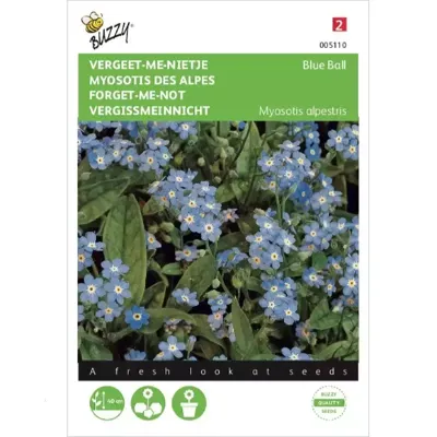 Myosotis, 'vergeet-me-nietje' blauw