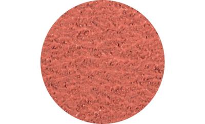 PFERD TOOLS CDR 50 A-COOL 36 42772503 Schuurblad Korrelgrootte (num) 36 (Ø) 50 mm 100 stuk(s)