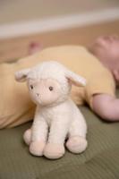 Little Dutch farm knuffel schaap 17 cm - thumbnail