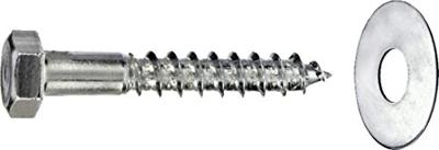 Connex Houtdraadbout+Sr 10X30 Emmer 20St - B30160