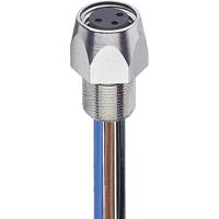 Lumberg Automation 11292-1 Sensor/actuator connector, geassembleerd M8 Aantal polen (sensoren): 4 Bus, inbouw 0.50 m 1 stuk(s) - thumbnail