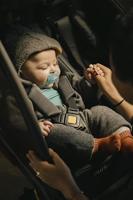 Burley Kard bur babyschaal 1 tm 10 mnd gry - thumbnail