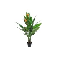 Decoratieve plant DKD Home Decor PVC Plastic 100 x 100 x 145 cm - thumbnail