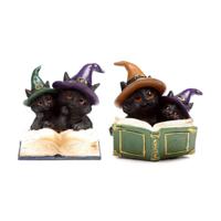 Heksen Zwarte Kat Magical Spell Book - thumbnail