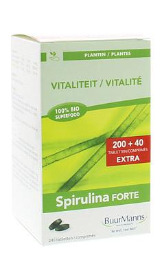 Maagpepermunt 3 Kilogram