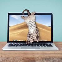 Mosterd Kat Hangende Notities - thumbnail