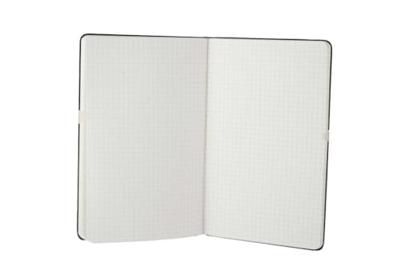 Moleskine notitieboek, ft 13 x 21 cm, geruit, harde cover, 240 bladzijden, zwart