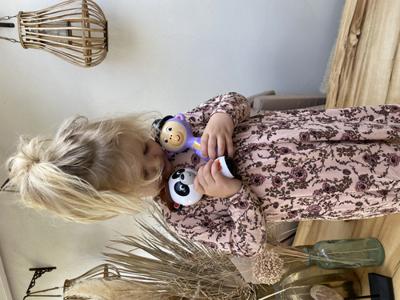 Muziekspeelgoed Fisher-Price Maracas Plastic