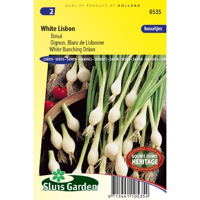 Uienzaden White Lisbon - thumbnail