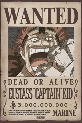 Poster One Piece - Poster Wanted Kid Wano 38x52cm