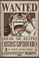 Poster One Piece - Poster Wanted Kid Wano 38x52cm - thumbnail