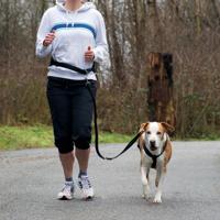 TRIXIE JOGGINGLIJN ZWART 75-120 CM - thumbnail