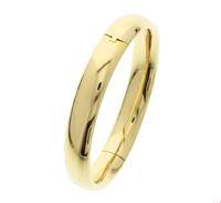 TFT Slavenband Goud Scharnier Ovale Buis 10 X 60 mm - thumbnail