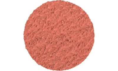 PFERD TOOLS CD 50 A-COOL 36 42752503 Schuurblad Korrelgrootte (num) 36 (Ø) 50 mm 100 stuk(s)