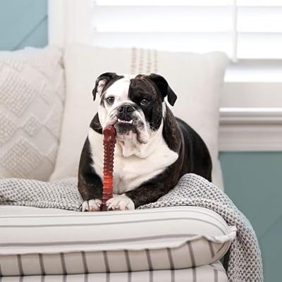 Nylabone textured dura chew beef jerkey voor harde bijters - thumbnail