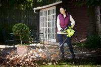 Ryobi RBV2800CSV | 2800W Bladblazer - 5133004883 - thumbnail