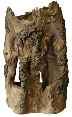 Boomhuis L aquaria Superfish - Superfish