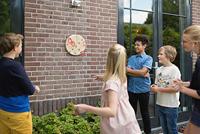 BS Toys haak werpen houten werpspel, 13dlg. - thumbnail