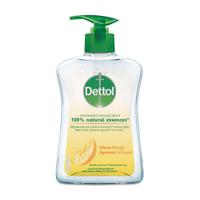 Dettol Dettol Wasgel Citrus 250ml - thumbnail