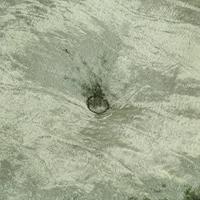 Poef rond 40x20 cm fluweel groen - thumbnail