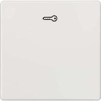 Siemens 5TG6208 1-voudig Wit Schakelmateriaal 1 stuk(s)