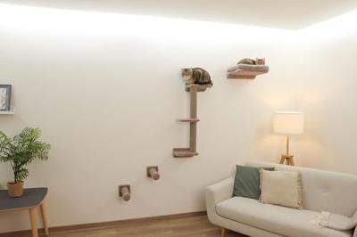 Klimmuur voor katten - KERBL - MONTE ALPI - 8 stuks - Grijs - Klimtoren