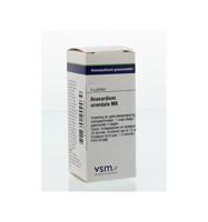 Anacardium orientale MK - thumbnail