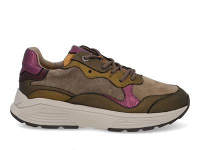 Xsensible Rainbow 33011.2 477 moss combi multi bruin maat 37 Xsensible Rainbow 33011.2 477 moss combi multi bruin maat 37