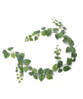 Scindapsus Pictus kunst guirlande 180cm - thumbnail